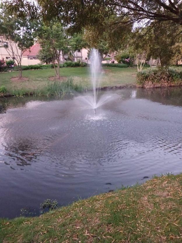 Beauty In The Complex