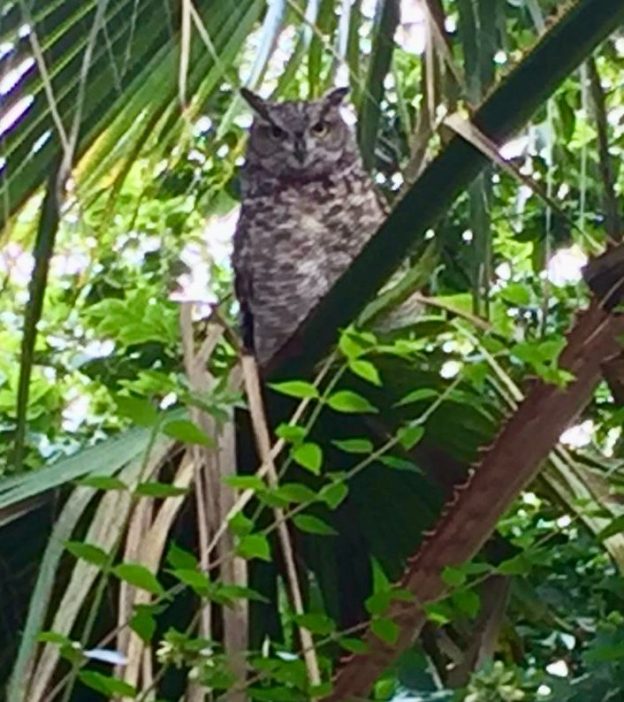 Beauty In The Compex